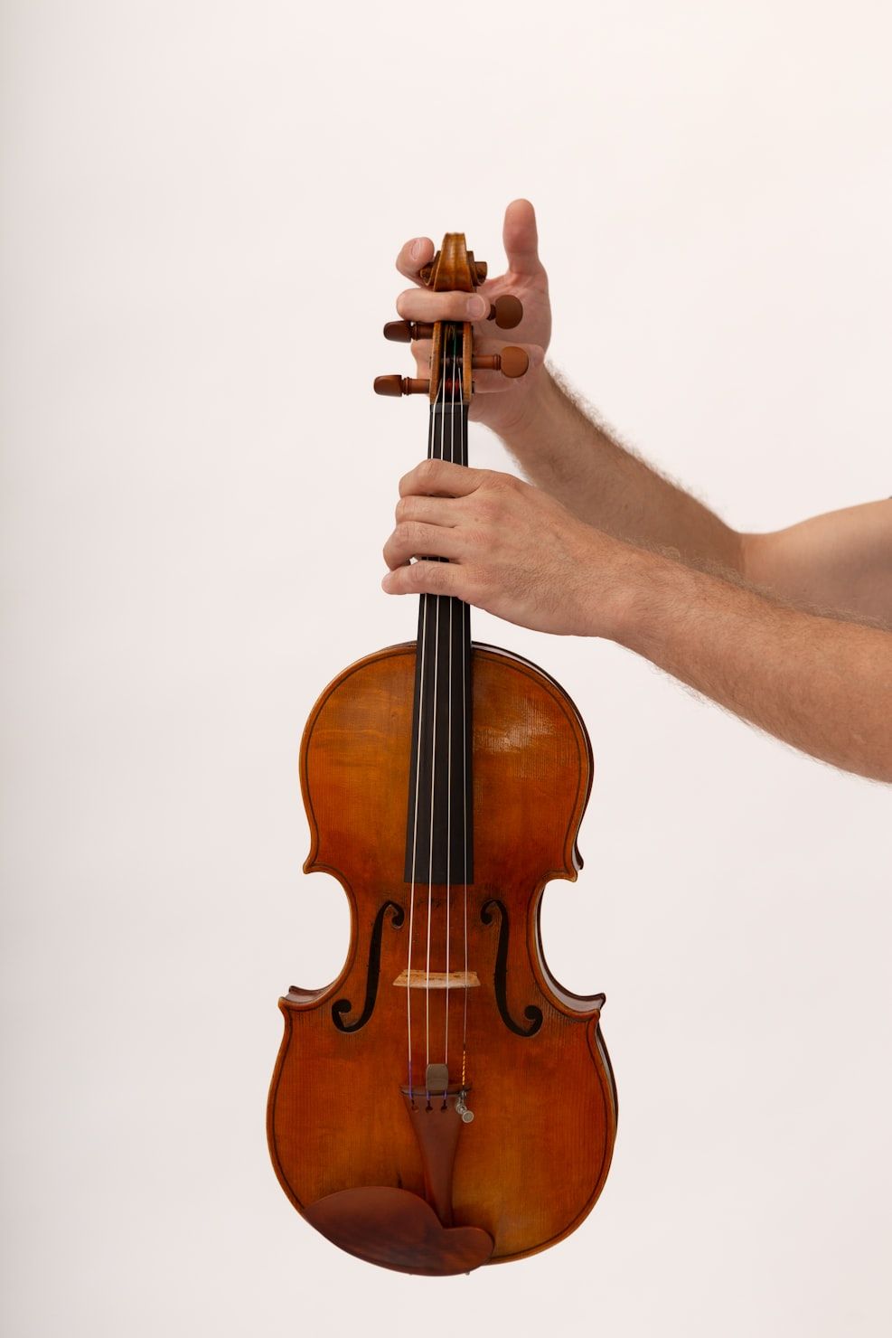 A violin held up against a plain background, showing the scroll, tuning pegs, fingerboard, f-holes, bridge and the fine tuners on the tailpiece